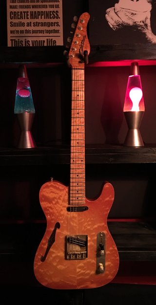 Zion Ninety with Joe Barden pickups