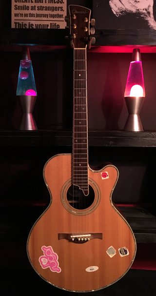 Charvel 625 acoustic high-strung